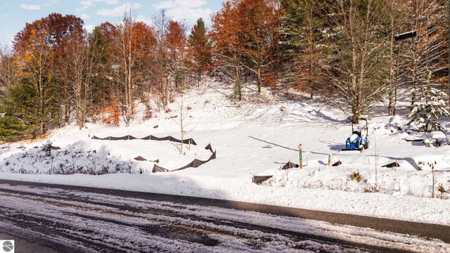 9394 E Hoxie Road, Cedar, MI 49621