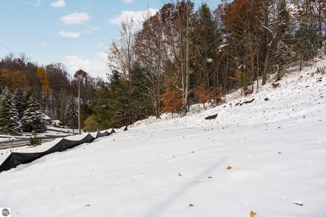 9394 E Hoxie Road, Cedar, MI 49621