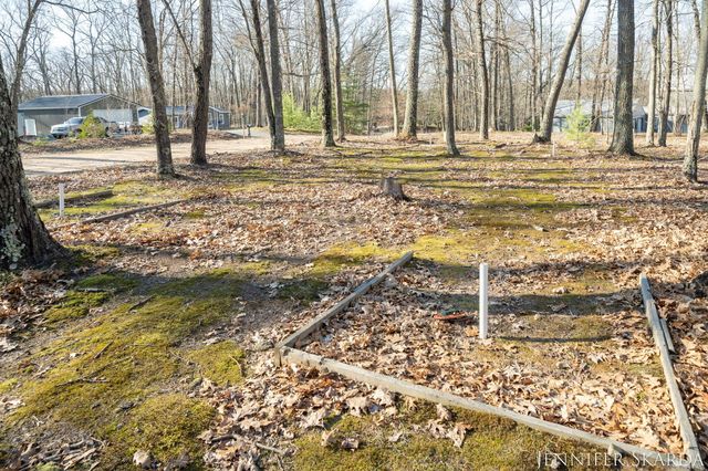 9341 S Oxeye Avenue, Baldwin, MI 49304