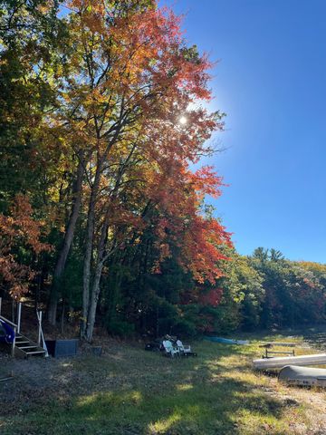 9341 S Oxeye Avenue, Baldwin, MI 49304