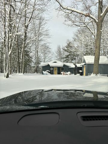 9341 S Oxeye Avenue, Baldwin, MI 49304