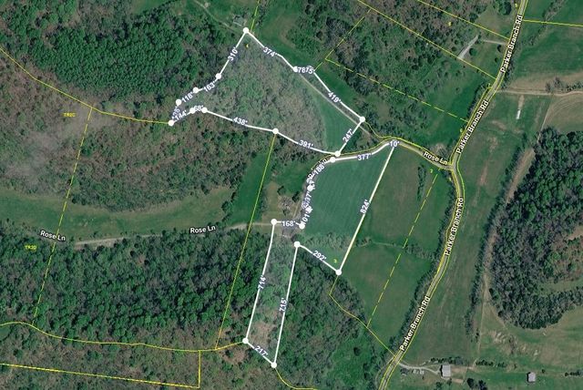 239 Rose Ln, Dixon Springs, TN 37057