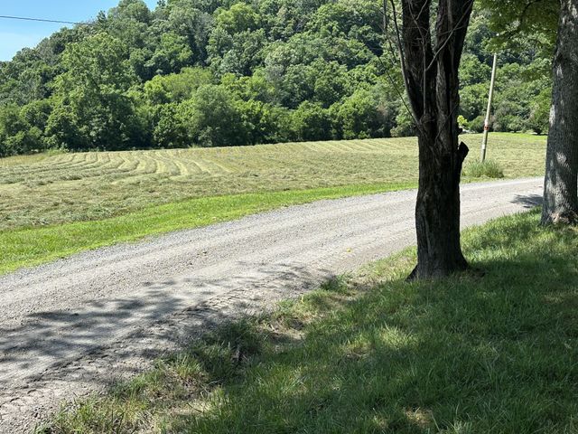 239 Rose Ln, Dixon Springs, TN 37057
