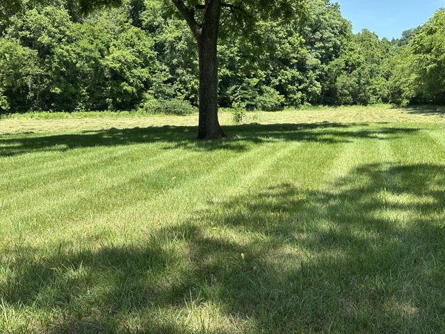 239 Rose Ln, Dixon Springs, TN 37057
