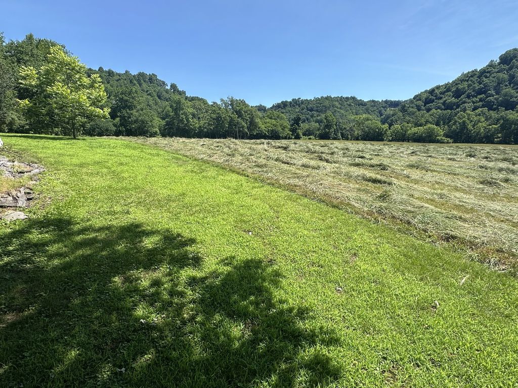239 Rose Ln, Dixon Springs, TN 37057