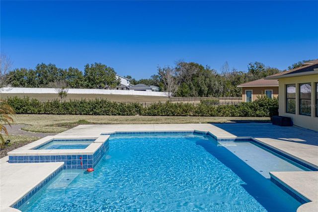 17914 HOWSMOOR PLACE, Lutz, FL 33559