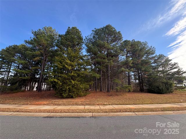 9209 Arlington Hills Drive, Mint Hill, NC 28227