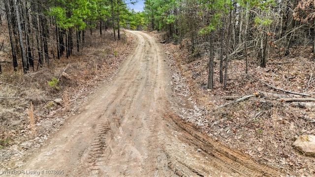 Tract 20 Round Mountain Road, Howe, OK 74940