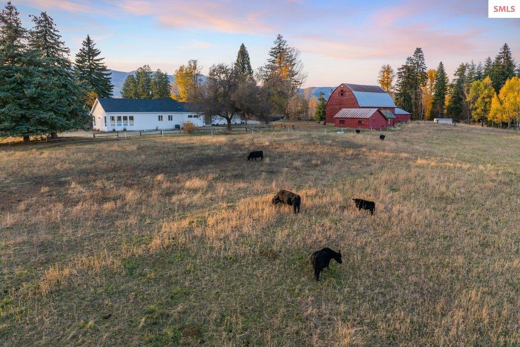 2685 Selle Rd, Sandpoint, ID 83864 photo 8