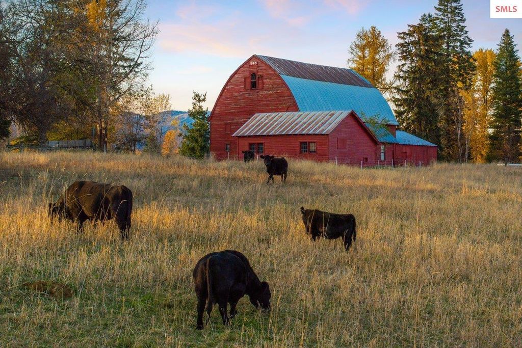 2685 Selle Rd, Sandpoint, ID 83864 photo 9