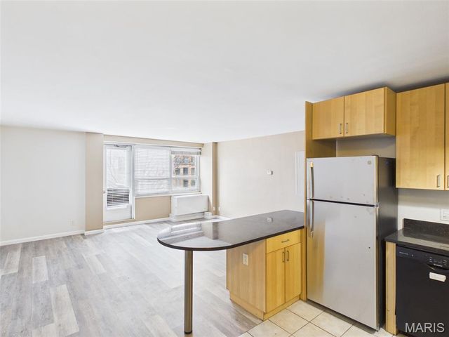 210 N 17th Street 201, St Louis, MO 63103