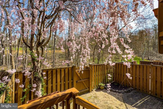 7923 VALLEYFIELD DR, Springfield, VA 22153