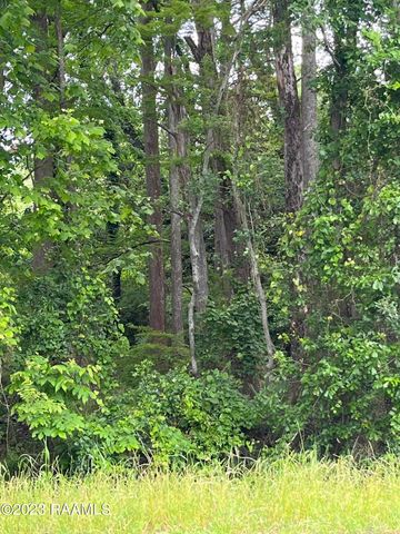 Tbd Hwy 361, Washington, LA 70589