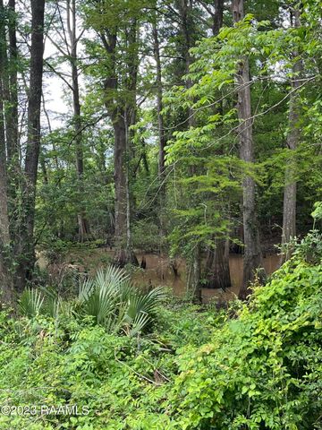 Tbd Hwy 361, Washington, LA 70589