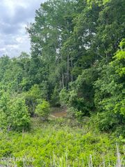 Tbd Hwy 361, Washington, LA 70589