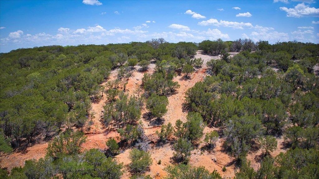Image 4 of property listing at 0 Hwy 29, Menard, TX 76859