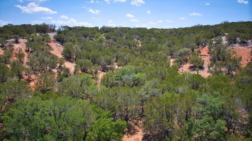 Image 7 of property listing at 0 Hwy 29, Menard, TX 76859