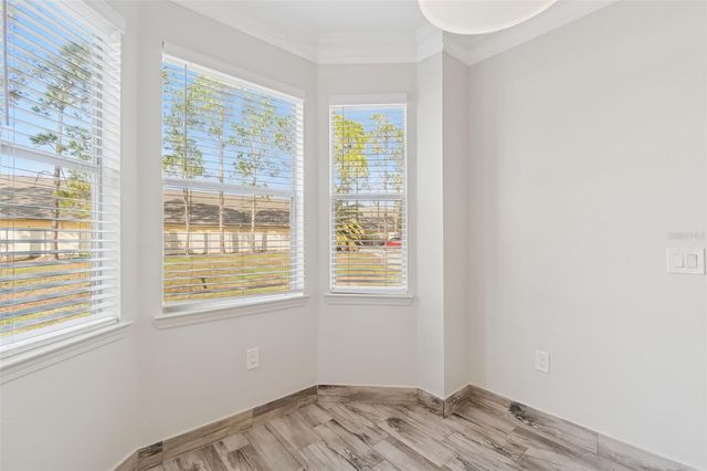 17932 VILLA CREEK DRIVE, Tampa, FL 33647