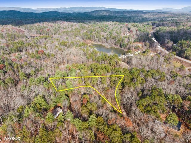 340 Morton Drive, Ellijay, GA 30540