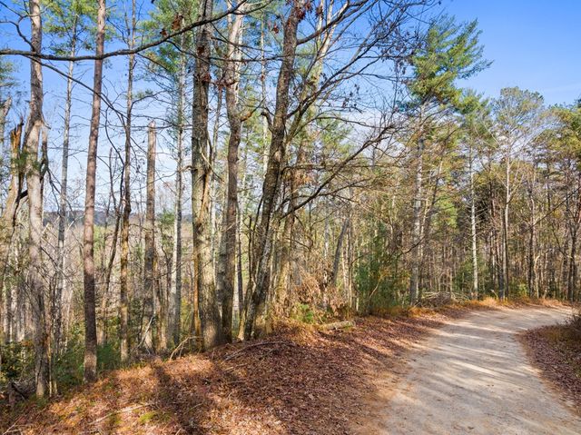 340 Morton Drive, Ellijay, GA 30540