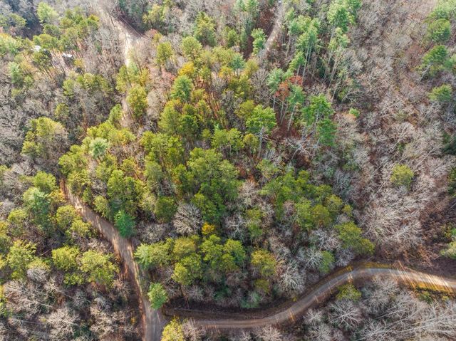 340 Morton Drive, Ellijay, GA 30540