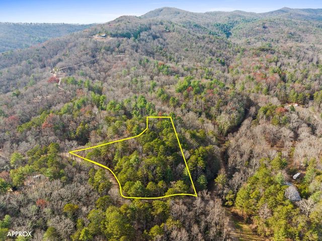 340 Morton Drive, Ellijay, GA 30540