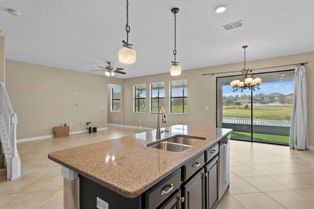 19415 PADDOCK VIEW DRIVE, Tampa, FL 33647