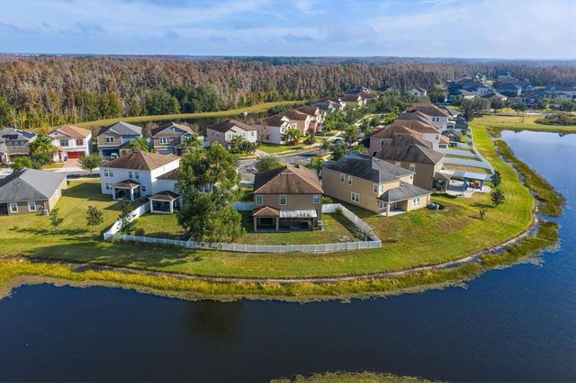 19415 PADDOCK VIEW DRIVE, Tampa, FL 33647