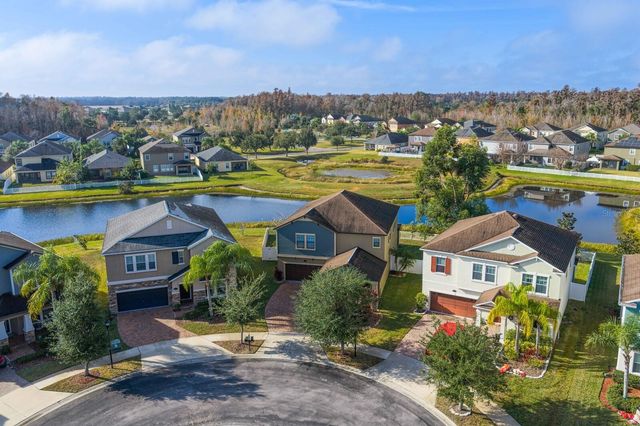 19415 PADDOCK VIEW DRIVE, Tampa, FL 33647