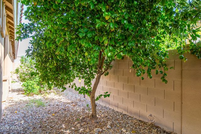 423 E MEAD Drive, Chandler, AZ 85249