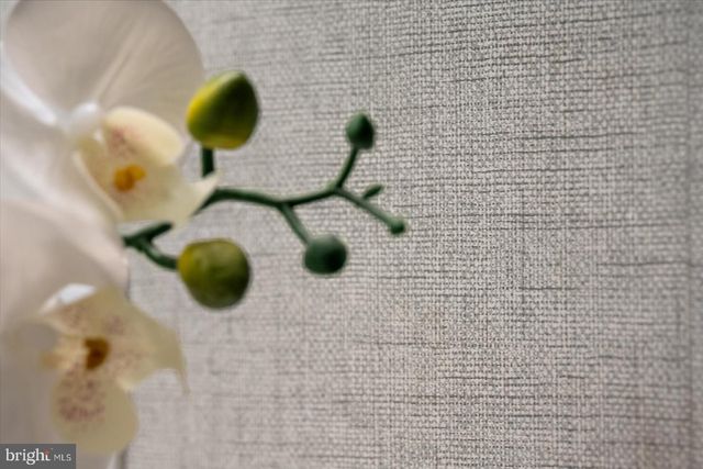 31211 WHITECAP WAY, Selbyville, DE 19975