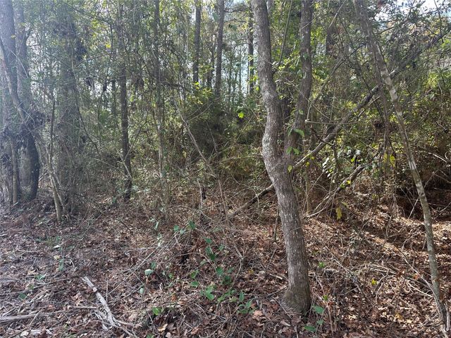 TBD Little Pine Valley Road, Cleveland, TX 77327