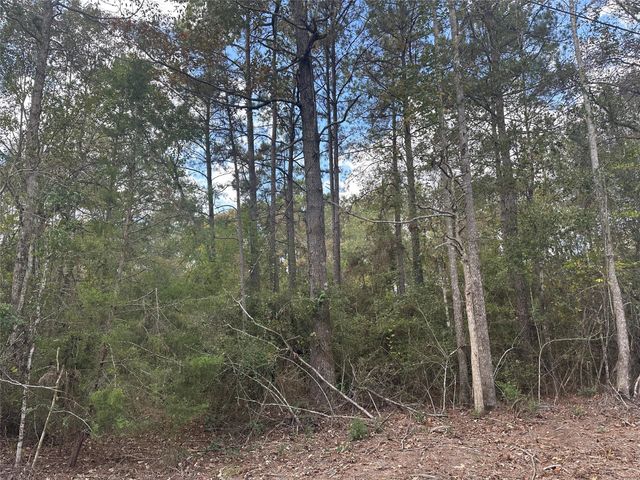 TBD Little Pine Valley Road, Cleveland, TX 77327