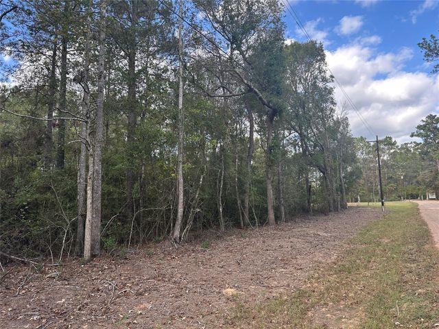 TBD Little Pine Valley Road, Cleveland, TX 77327