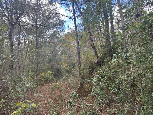 TBD Little Pine Valley Road, Cleveland, TX 77327