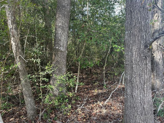 TBD Little Pine Valley Road, Cleveland, TX 77327