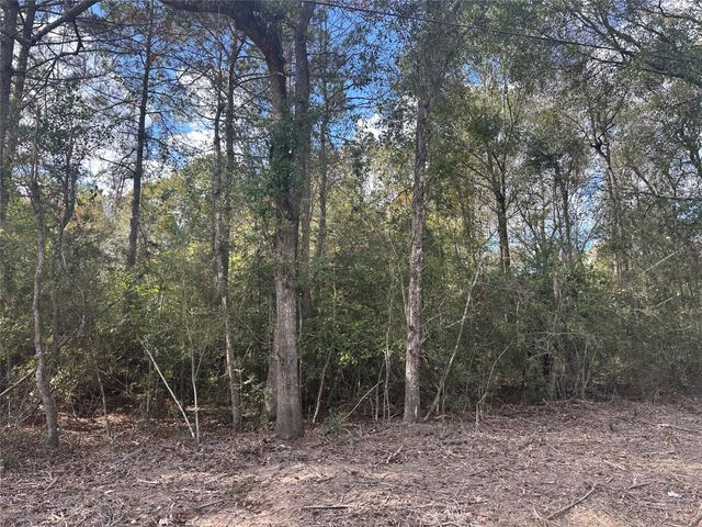 TBD Little Pine Valley Road, Cleveland, TX 77327