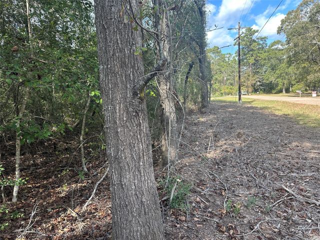 TBD Little Pine Valley Road, Cleveland, TX 77327