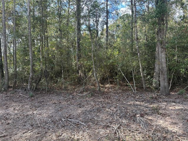 TBD Little Pine Valley Road, Cleveland, TX 77327