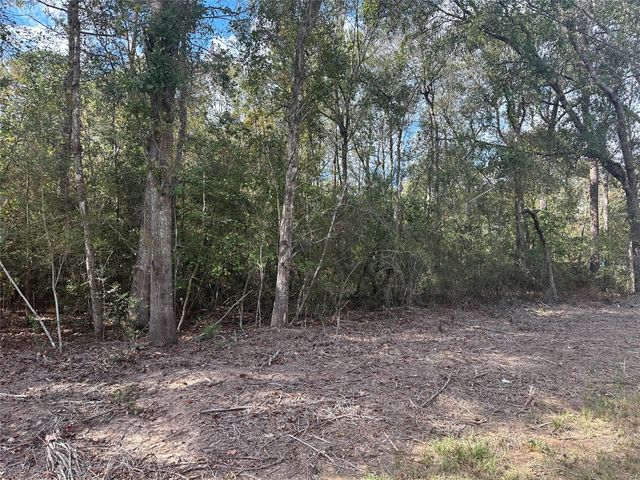 TBD Little Pine Valley Road, Cleveland, TX 77327