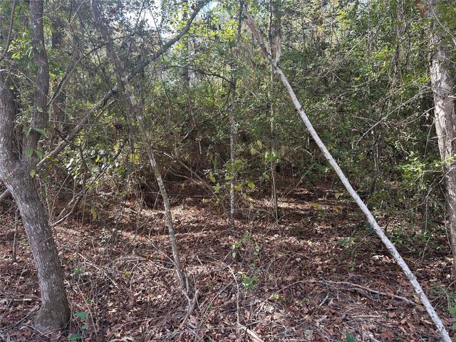 TBD Little Pine Valley Road, Cleveland, TX 77327