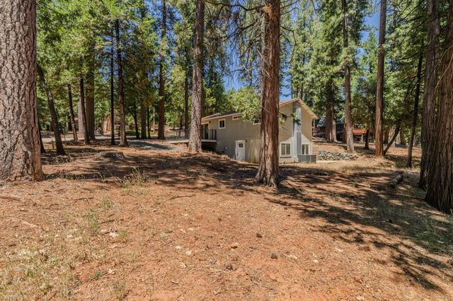 16932 Mckenzie Dr, Pioneer, CA 95666