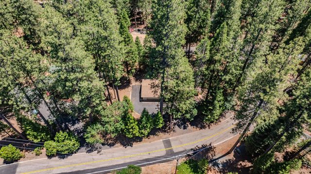 16932 Mckenzie Dr, Pioneer, CA 95666