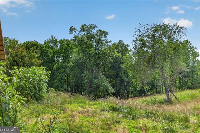 0 Conns Creek Road, Ball Ground, GA 30107