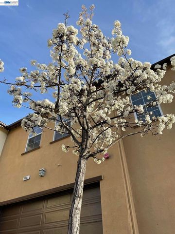 3901 Forest Cir, Castro Valley, CA 94546