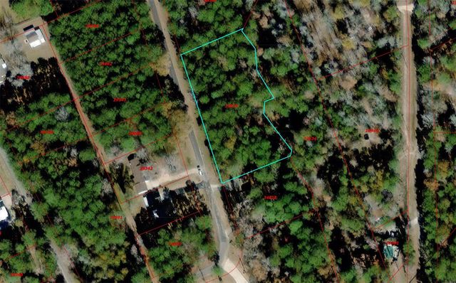 126 Mockingbird Hills, Livingston, TX 77351