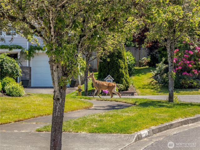 4029 Crystal Ridge Drive SE, Puyallup, WA 98372
