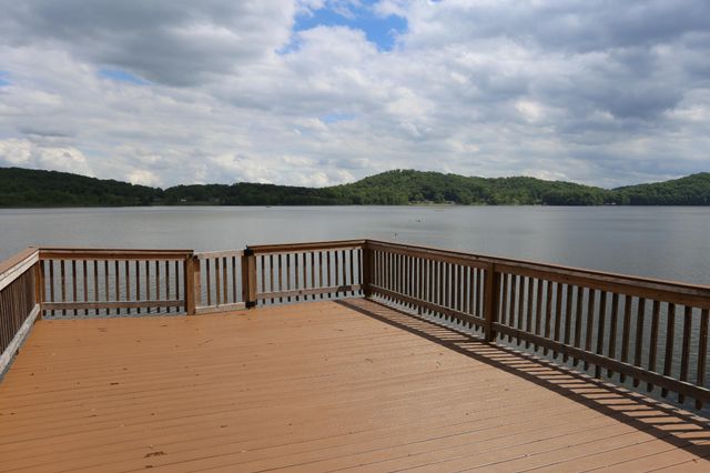 115 Dabbs Drive, Spring City, TN 37381