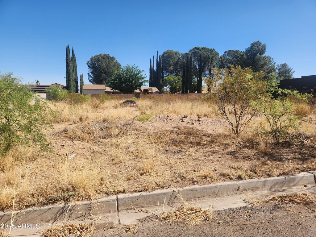 2804 E Borane Street LOT 15, Douglas, AZ 85607