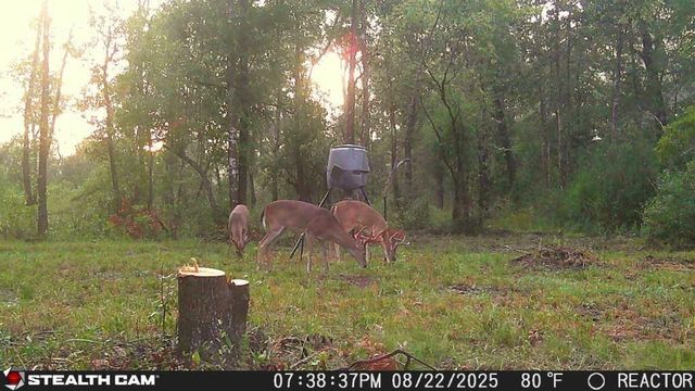 1720 County Road 1550, Warren, TX 77664